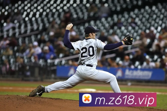 尊龙z6·官网APP 封面图
